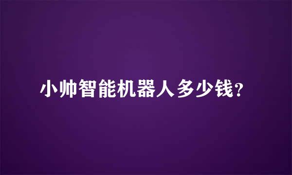 小帅智能机器人多少钱？