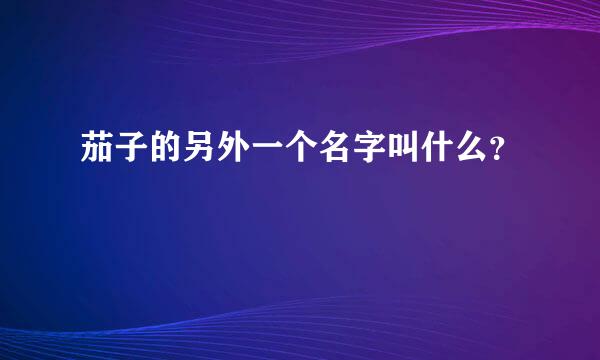 茄子的另外一个名字叫什么？