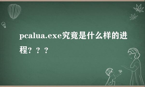 pcalua.exe究竟是什么样的进程？？？