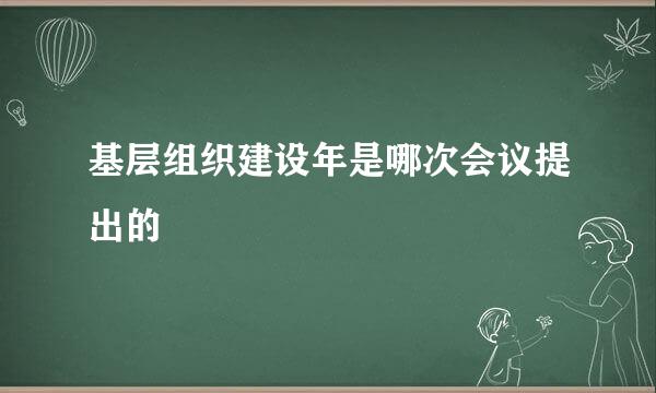 基层组织建设年是哪次会议提出的