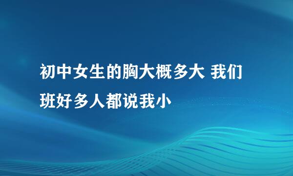 初中女生的胸大概多大 我们班好多人都说我小