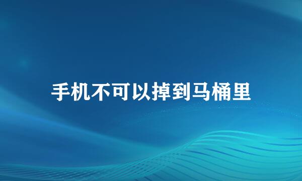 手机不可以掉到马桶里