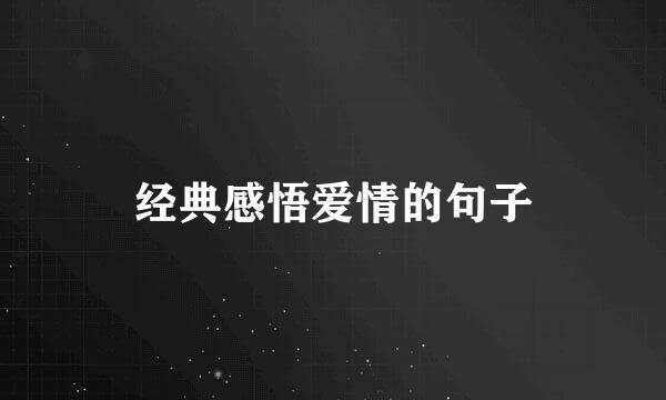 经典感悟爱情的句子