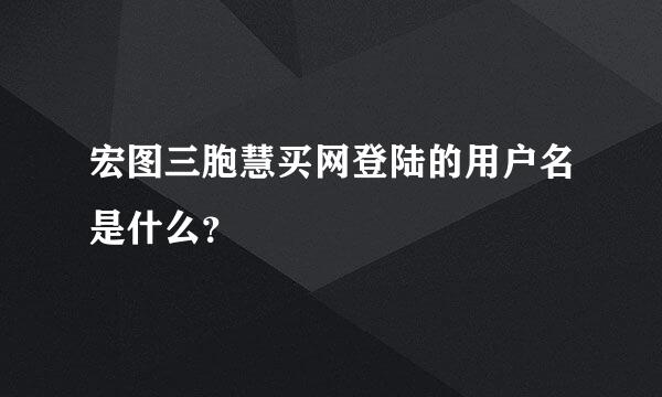 宏图三胞慧买网登陆的用户名是什么？