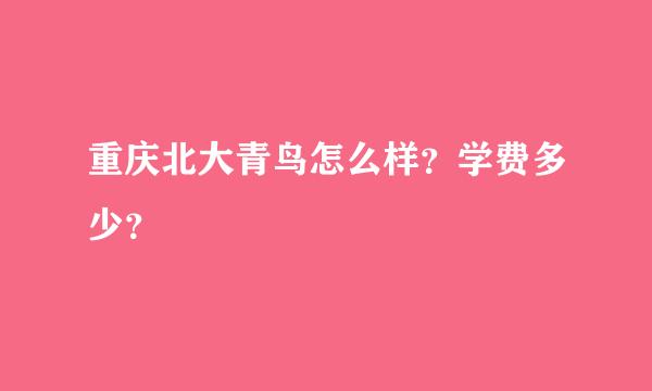 重庆北大青鸟怎么样？学费多少？