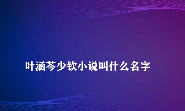 
叶涵芩少钦小说叫什么名字
