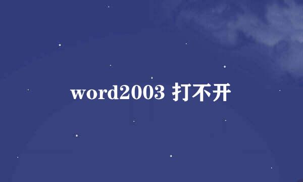 word2003 打不开