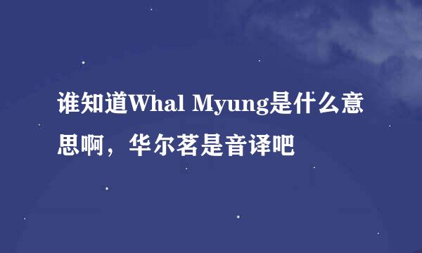 谁知道Whal Myung是什么意思啊，华尔茗是音译吧