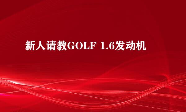 新人请教GOLF 1.6发动机