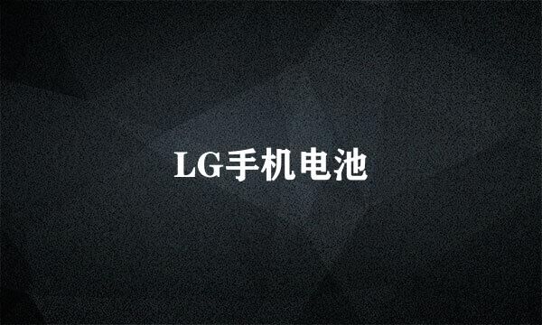 LG手机电池