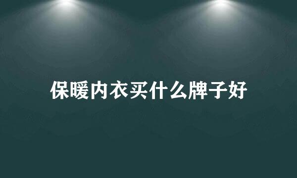 保暖内衣买什么牌子好