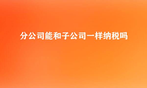 分公司能和子公司一样纳税吗