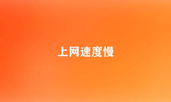 上网速度慢