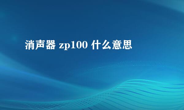 消声器 zp100 什么意思