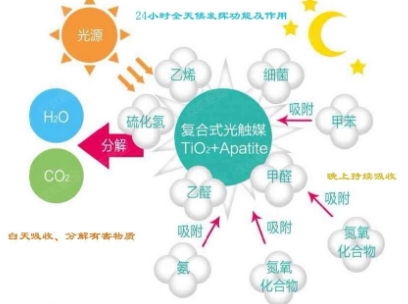 刚买的新车，用什么除味最快？