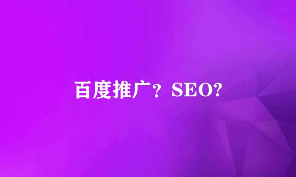 百度推广？SEO?