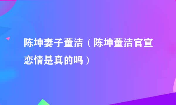 陈坤妻子董洁（陈坤董洁官宣恋情是真的吗）