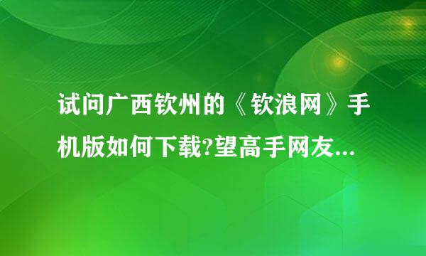 试问广西钦州的《钦浪网》手机版如何下载?望高手网友提供方法,多谢为盼!