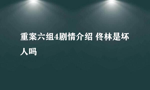 重案六组4剧情介绍 佟林是坏人吗