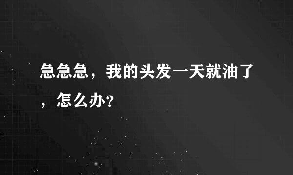 急急急，我的头发一天就油了，怎么办？