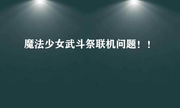 魔法少女武斗祭联机问题！！