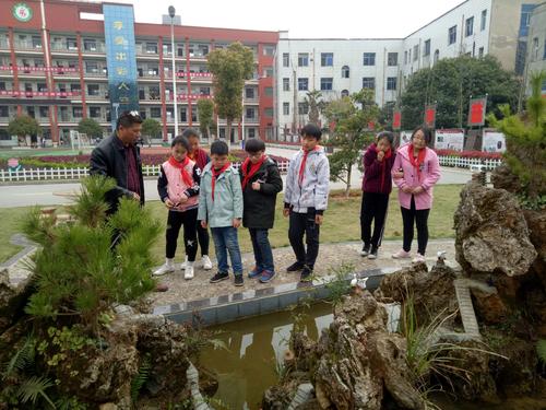 学校安全隐患有哪些重大风险点