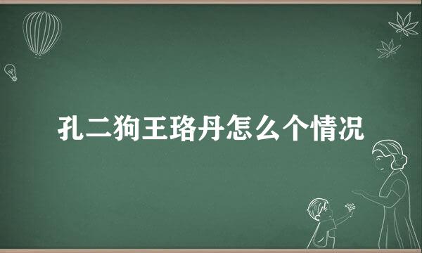 孔二狗王珞丹怎么个情况