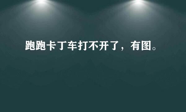 跑跑卡丁车打不开了，有图。