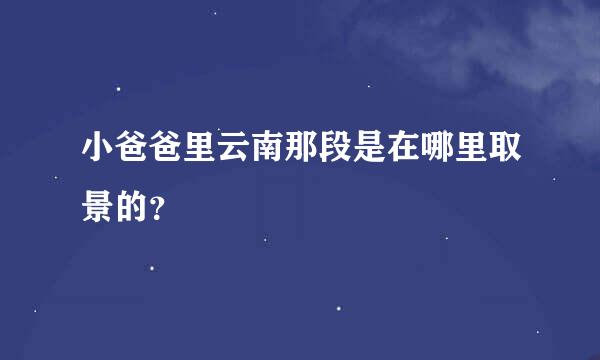 小爸爸里云南那段是在哪里取景的？