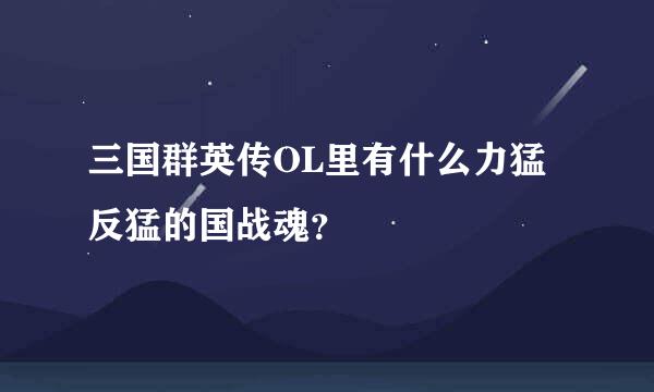 三国群英传OL里有什么力猛反猛的国战魂？