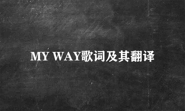 MY WAY歌词及其翻译
