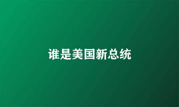 谁是美国新总统