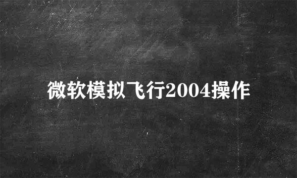 微软模拟飞行2004操作