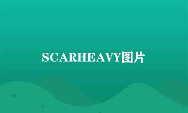 SCARHEAVY图片