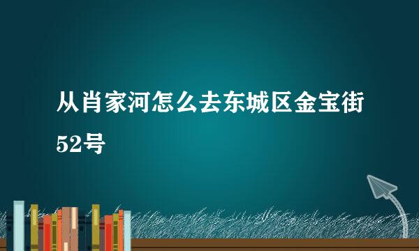 从肖家河怎么去东城区金宝街52号