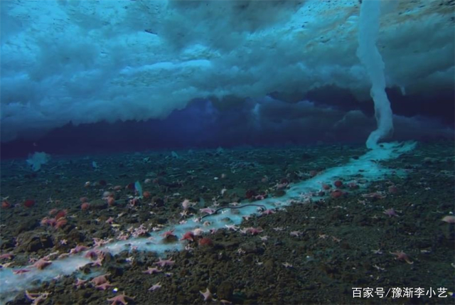 南极的死亡冰柱是什么？为何会杀死很多生物？