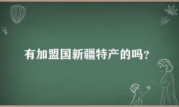 有加盟国新疆特产的吗？