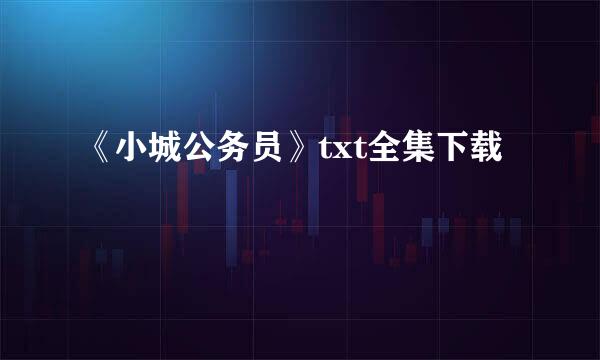 《小城公务员》txt全集下载