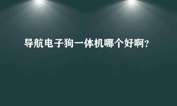 导航电子狗一体机哪个好啊？