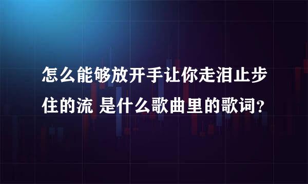 怎么能够放开手让你走泪止步住的流 是什么歌曲里的歌词？