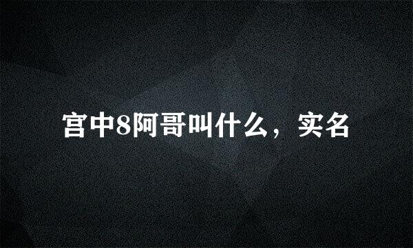 宫中8阿哥叫什么，实名