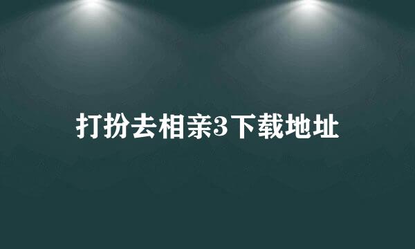 打扮去相亲3下载地址