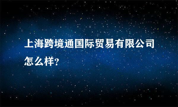 上海跨境通国际贸易有限公司怎么样？