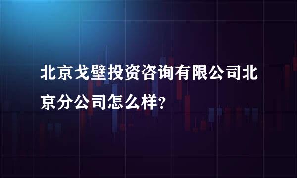 北京戈壁投资咨询有限公司北京分公司怎么样？