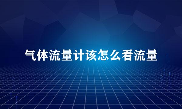 气体流量计该怎么看流量