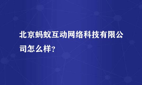 北京蚂蚁互动网络科技有限公司怎么样？