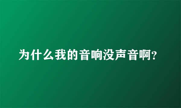 为什么我的音响没声音啊？