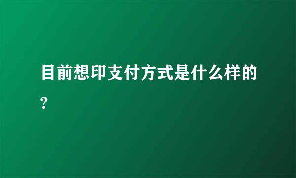 目前想印支付方式是什么样的？