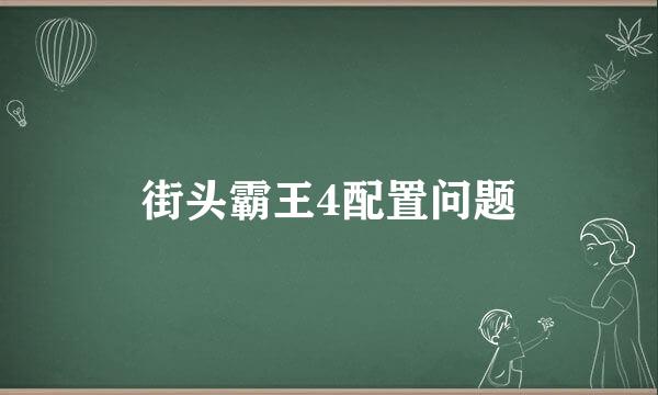 街头霸王4配置问题