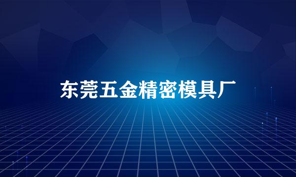 东莞五金精密模具厂